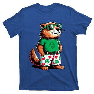 Funny Groundhog St. PatrickS Day Solar ValentineS Day T-Shirt