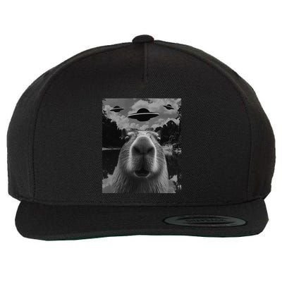Funny Graphiccapybara Selfie With Ufos Weird Wool Snapback Cap