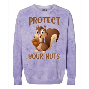 Food Gift Squirrel Protect Your Nuts Squirrel Colorblast Crewneck Sweatshirt