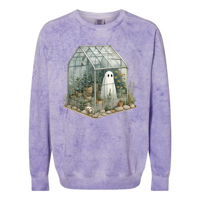 Funny Ghost Spooky Season Plant Trick Or Treat Halloween Gift Colorblast Crewneck Sweatshirt