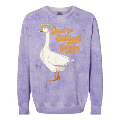 Funny GodS Silliest Goose Funny Colorblast Crewneck Sweatshirt