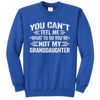 Funny Granddaughter Sarcastic YouRe Not My Granddaughter Gift Sweatshirt