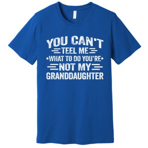 Funny Granddaughter Sarcastic YouRe Not My Granddaughter Gift Premium T-Shirt