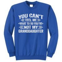 Funny Granddaughter Sarcastic YouRe Not My Granddaughter Gift Tall Sweatshirt