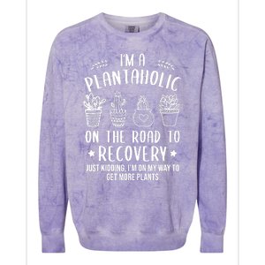 Funny Gardening Succulent Plants Lover IM A Plantaholic Colorblast Crewneck Sweatshirt