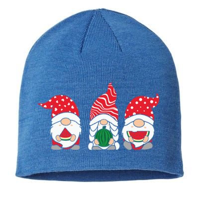 Funny Gnomes Summer Watermelon Xmas Lights Christmas In July Gift Sustainable Beanie