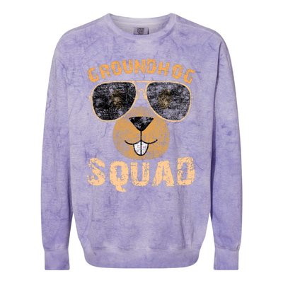 Funny Groundhog Squad Happy Groundhog Day 2024 Colorblast Crewneck Sweatshirt