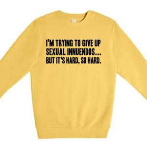 Funny Gift Sexual Innuendo Adult Humor Offensive Gag Gift Premium Crewneck Sweatshirt