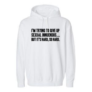 Funny Gift Sexual Innuendo Adult Humor Offensive Gag Gift Garment-Dyed Fleece Hoodie