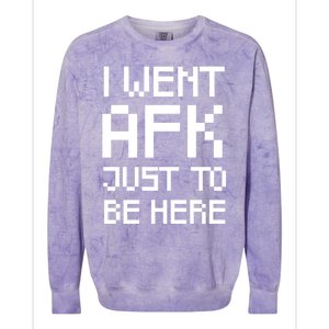 Funny Gamer Talk I Went Afk Just To Be Here Cool Gift Colorblast Crewneck Sweatshirt