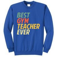 Funny Gym Teacher Art Pe Teacher Appreciation Gift Sweatshirt