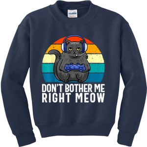 Funny Gaming Video Game Lover Gaming Cat Gaming Kids Sweatshirt