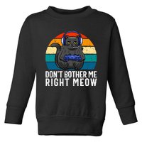 Funny Gaming Video Game Lover Gaming Cat Gaming  Toddler Sweatshirt