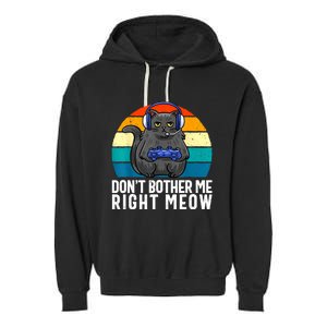 Funny Gaming Video Game Lover Gaming Cat Gaming Garment-Dyed Fleece Hoodie