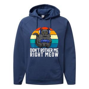 Funny Gaming Video Game Lover Gaming Cat Gaming Performance Fleece Hoodie