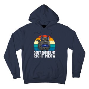 Funny Gaming Video Game Lover Gaming Cat Gaming Hoodie