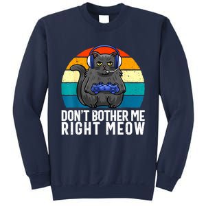 Funny Gaming Video Game Lover Gaming Cat Gaming Sweatshirt