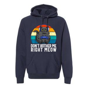 Funny Gaming Video Game Lover Gaming Cat Gaming Premium Hoodie