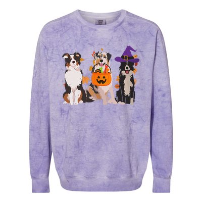 Funny Ghost Witch Australian Shepherd Halloween Dog Mom Gift Colorblast Crewneck Sweatshirt