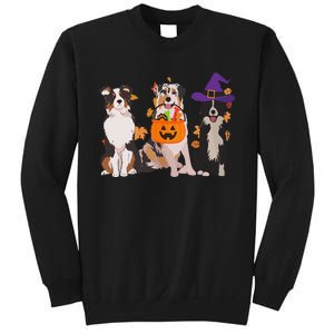 Funny Ghost Witch Australian Shepherd Halloween Dog Mom Gift Sweatshirt