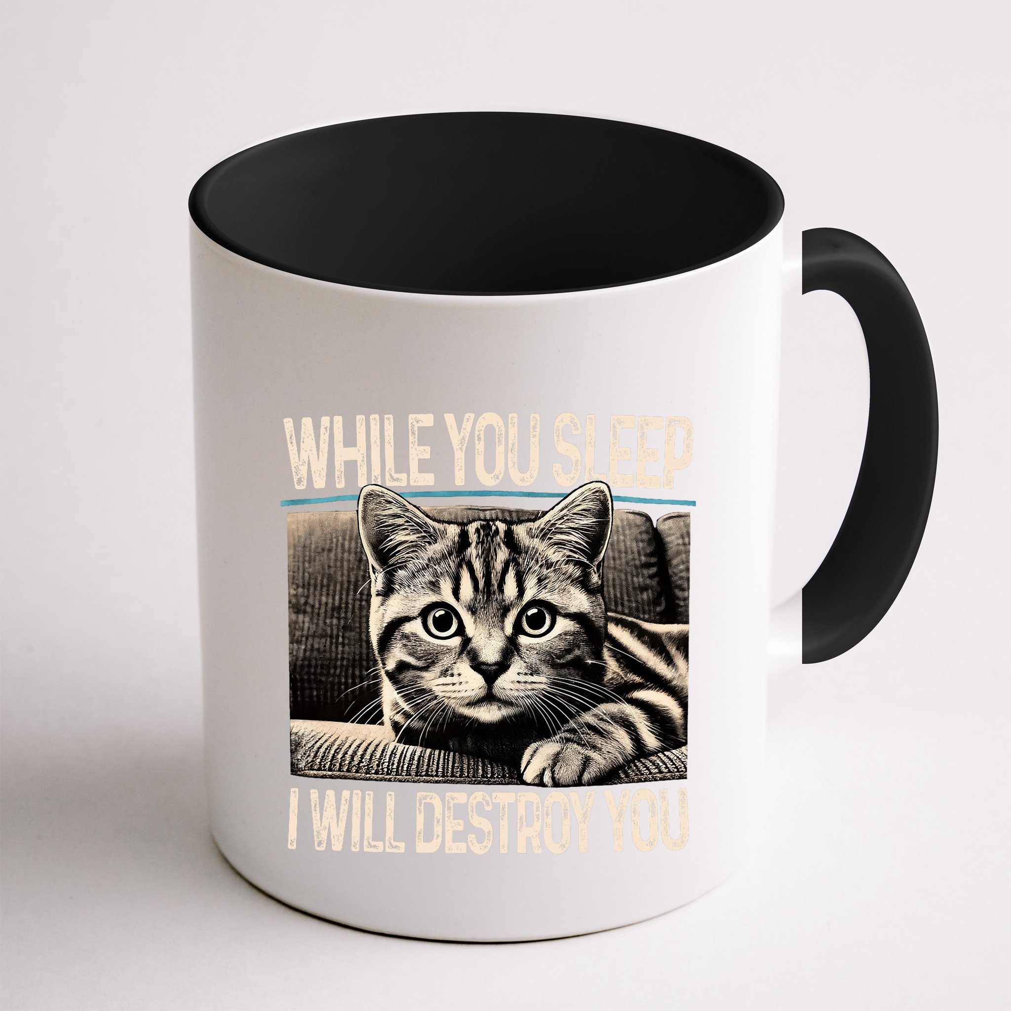Funny Graphic While You Sleep I Will Destroy You Cat Mug