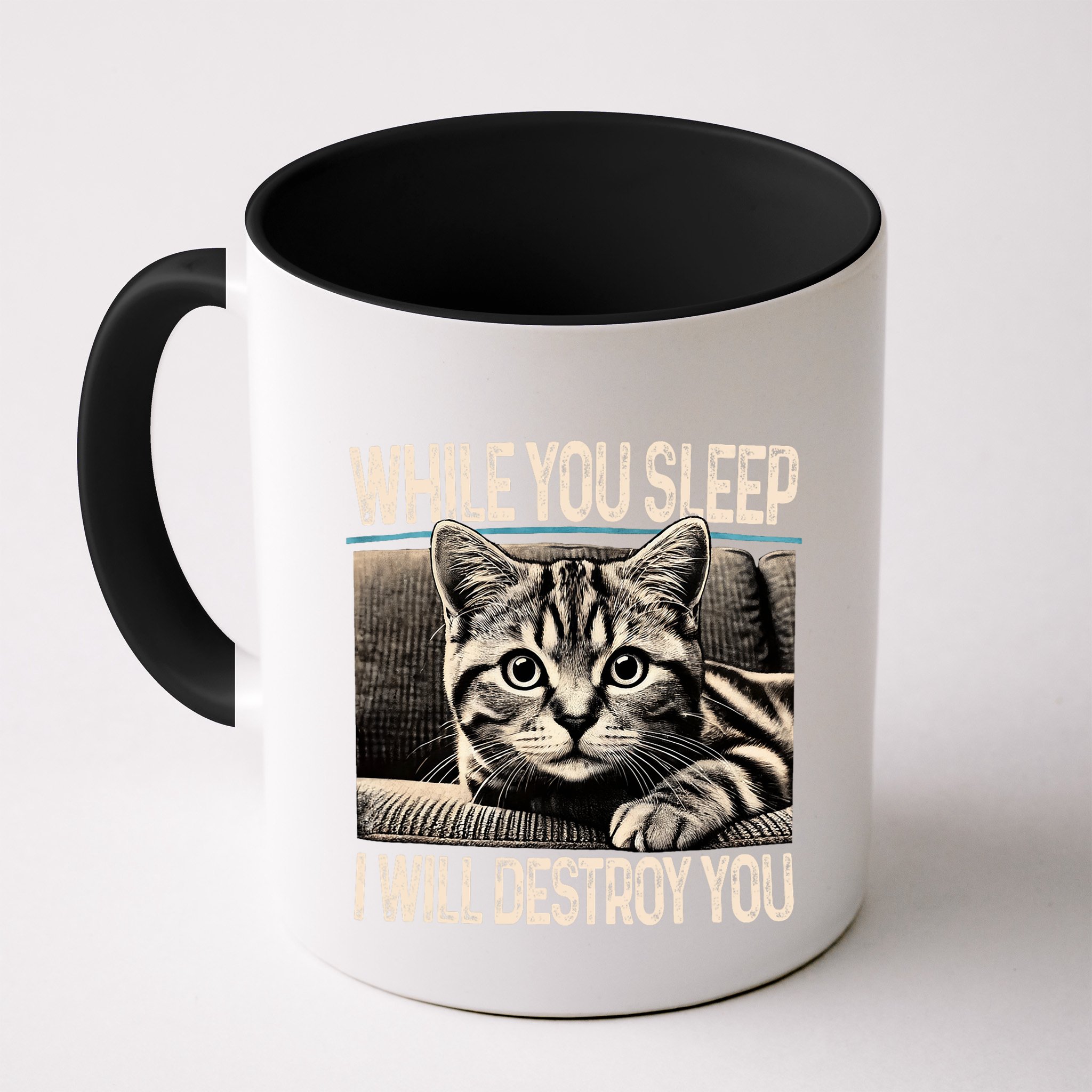 Funny Graphic While You Sleep I Will Destroy You Cat Mug