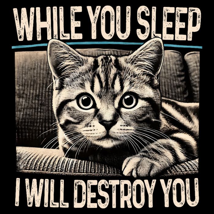 Funny Graphic While You Sleep I Will Destroy You Cat Flat Bill Trucker Hat