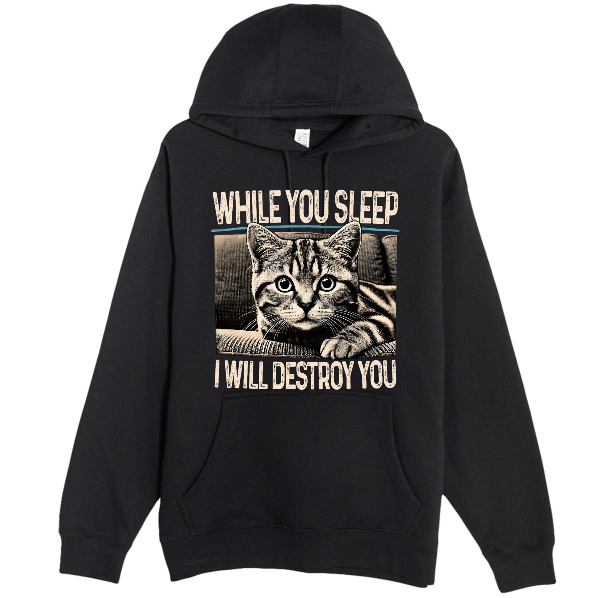 Funny Graphic While You Sleep I Will Destroy You Cat Premium Pullover Hoodie