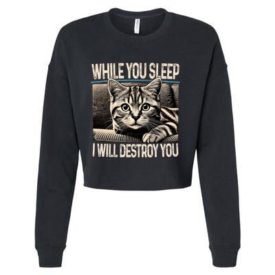 Funny Graphic While You Sleep I Will Destroy You Cat Cropped Pullover Crew