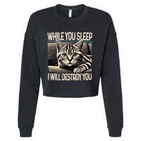 Funny Graphic While You Sleep I Will Destroy You Cat Cropped Pullover Crew