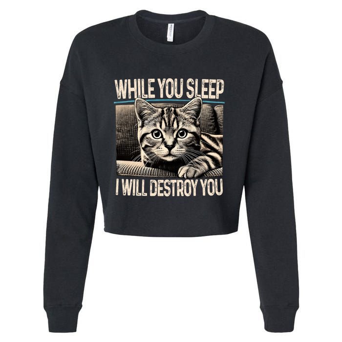 Funny Graphic While You Sleep I Will Destroy You Cat Cropped Pullover Crew