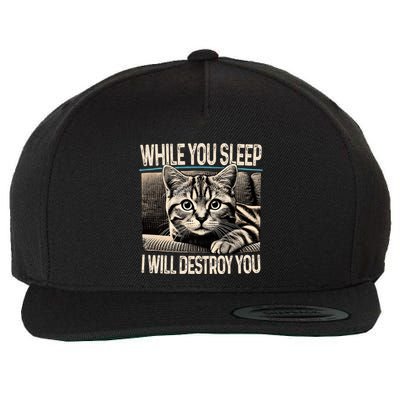 Funny Graphic While You Sleep I Will Destroy You Cat Wool Snapback Cap
