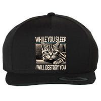 Funny Graphic While You Sleep I Will Destroy You Cat Wool Snapback Cap