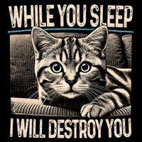 Funny Graphic While You Sleep I Will Destroy You Cat Wool Snapback Cap
