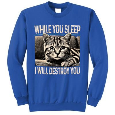 Funny Graphic While You Sleep I Will Destroy You Cat Sweatshirt