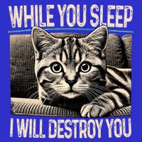 Funny Graphic While You Sleep I Will Destroy You Cat Tall T-Shirt