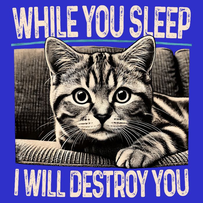 Funny Graphic While You Sleep I Will Destroy You Cat Tall T-Shirt