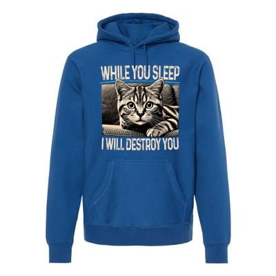 Funny Graphic While You Sleep I Will Destroy You Cat Premium Hoodie