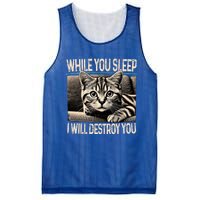 Funny Graphic While You Sleep I Will Destroy You Cat Mesh Reversible Basketball Jersey Tank