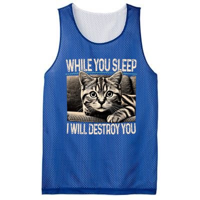 Funny Graphic While You Sleep I Will Destroy You Cat Mesh Reversible Basketball Jersey Tank