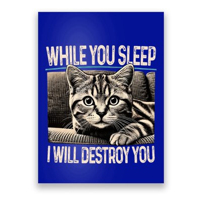 Funny Graphic While You Sleep I Will Destroy You Cat Poster