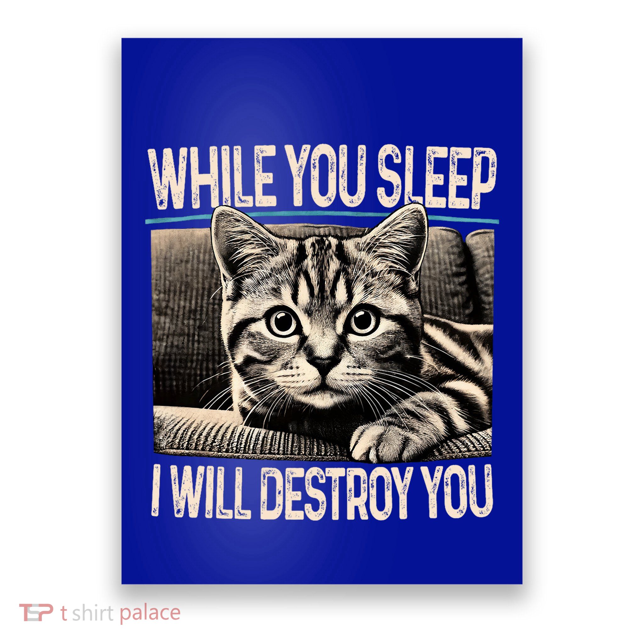 Funny Graphic While You Sleep I Will Destroy You Cat Poster