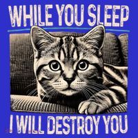 Funny Graphic While You Sleep I Will Destroy You Cat Poster