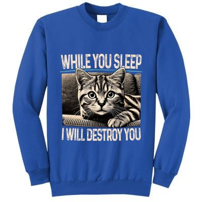 Funny Graphic While You Sleep I Will Destroy You Cat Tall Sweatshirt
