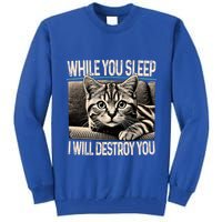 Funny Graphic While You Sleep I Will Destroy You Cat Tall Sweatshirt
