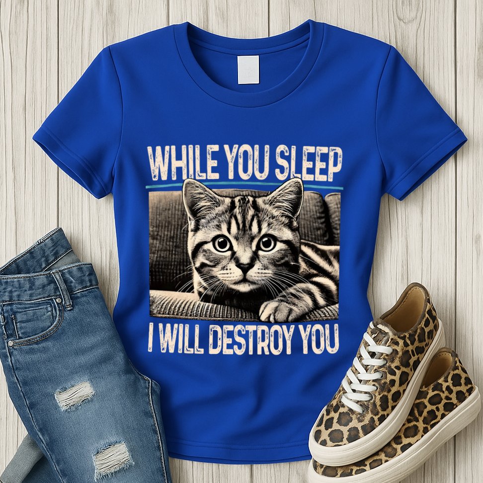 Funny Graphic While You Sleep I Will Destroy You Cat Womens T-Shirt