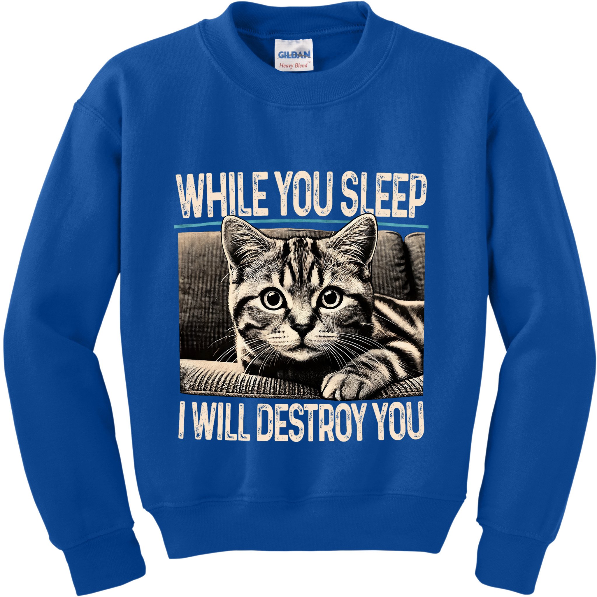 Funny Graphic While You Sleep I Will Destroy You Cat Kids Sweatshirt