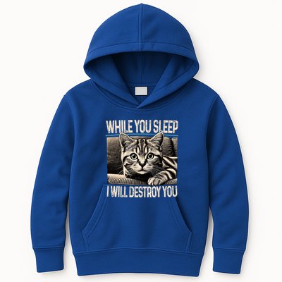 Funny Graphic While You Sleep I Will Destroy You Cat Kids Hoodie