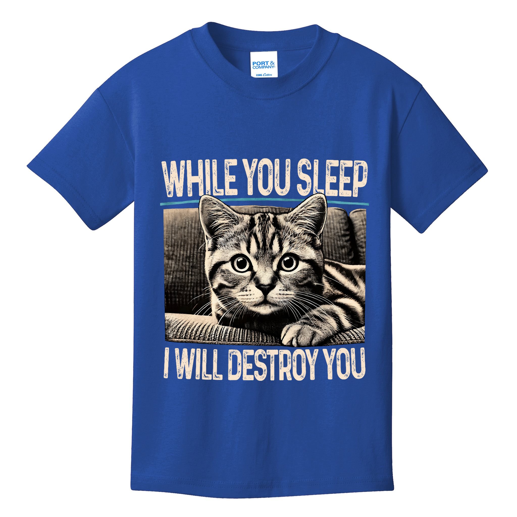 Funny Graphic While You Sleep I Will Destroy You Cat Kids T-Shirt