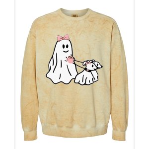 Funny Ghost Walking Dog Spooky Season Halloween Coquette Colorblast Crewneck Sweatshirt